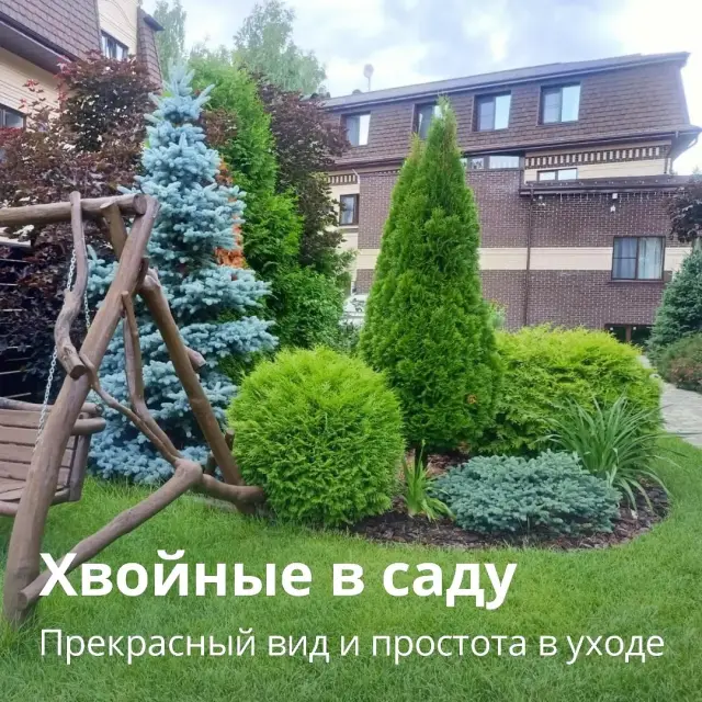 Благоустройство участка под ключ в Йошкар-Оле
